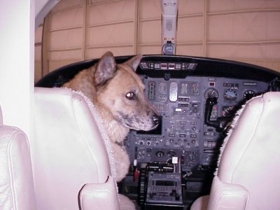 Dana on Citation flt deck.jpg