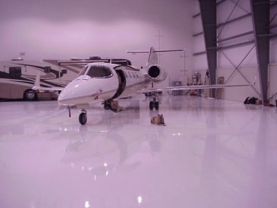 Dana & Lear 31 2.jpg