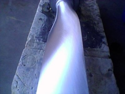 Beech Cardinal 80 grit.jpg Beech Cardinal 80 grit.jpg