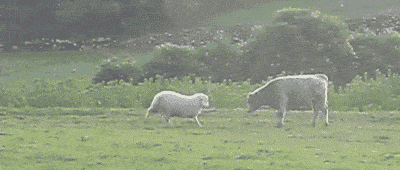 1nN4OuU.gif