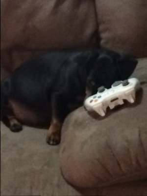 image.jpeg