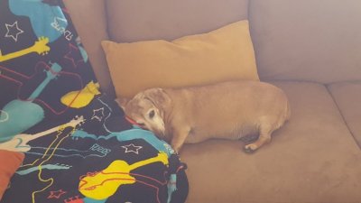 20160717_155125.jpg