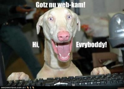 image.jpeg