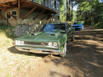 IMG_0274 (Large).JPG