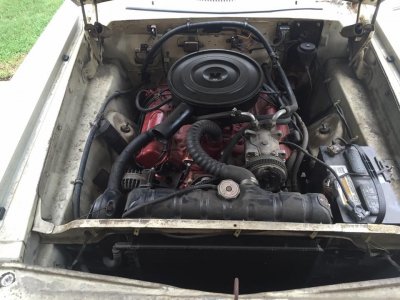 14055033_10210054484782643_7298854568047116384_n.jpg 14055033_10210054484782643_7298854568047116384_n.jpg