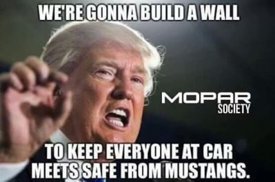 Mustang safety.jpg