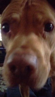 IMAG0396_BURST006.jpg