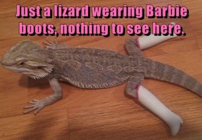 barbie boots.jpg