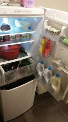 Fridge.jpg
