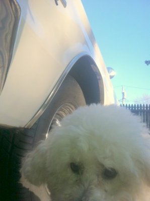 photo 1.JPG photo 1.JPG