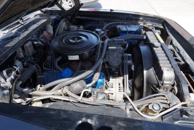 IMG_8585.JPG IMG_8585.JPG