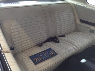 scrappy 8.JPG scrappy 8.JPG