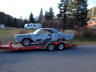 image.jpeg image.jpeg