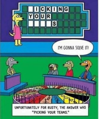 Dog quiz.jpg
