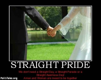 American straight-pride.jpg