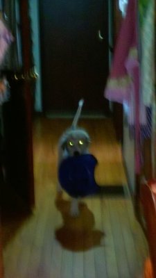 WP_20160714_12_26_56_Pro.jpg