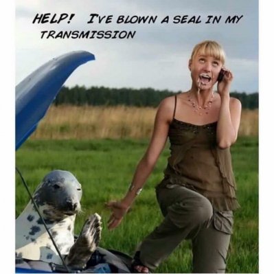 Blown seal.jpg