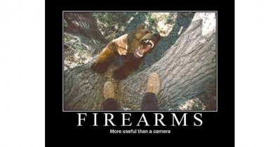 image.jpeg