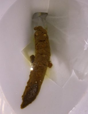 IMG951604_2.jpg