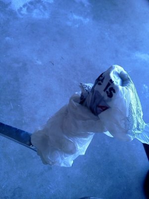 IMG_20160904_122500.jpg IMG_20160904_122500.jpg