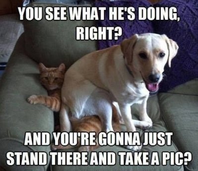 image.jpeg