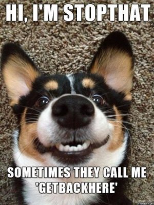 image.jpeg