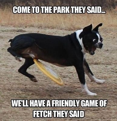 image.jpeg