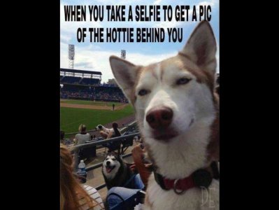 image.jpeg