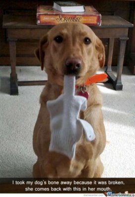 image.jpeg