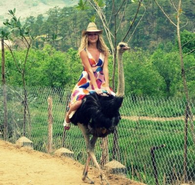 ostrich_riding.jpg