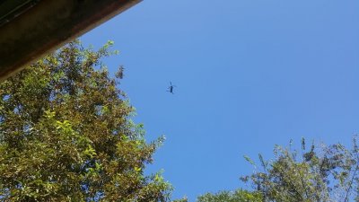 20160906_160403.jpg