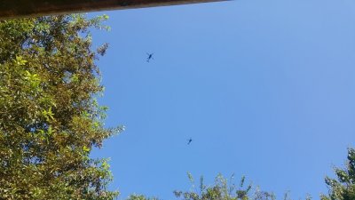 20160906_160354.jpg