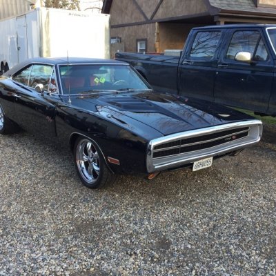 IMG_0503.JPG IMG_0503.JPG