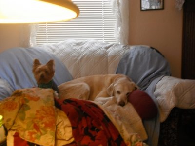 DSCF1382.JPG DSCF1382.JPG