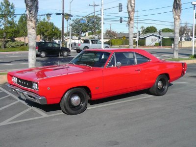 super bee 001.jpg