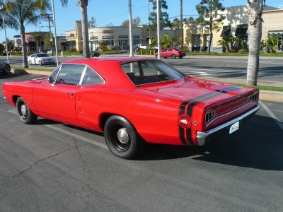 super bee 006.jpg
