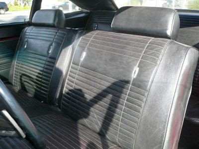 super bee 010.jpg
