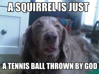 image.jpeg