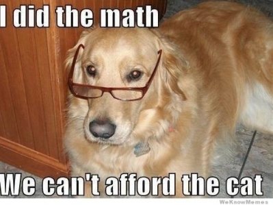 image.jpeg