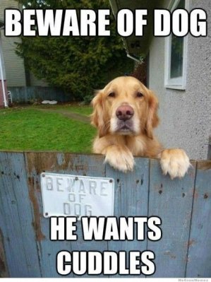 image.jpeg