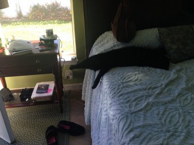 IMG_1591.JPG IMG_1591.JPG