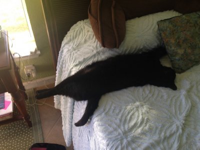 IMG_1592.JPG IMG_1592.JPG