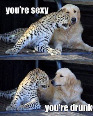 image.jpeg