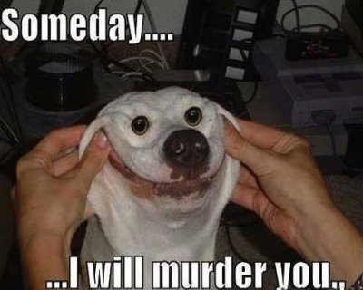 image.jpeg