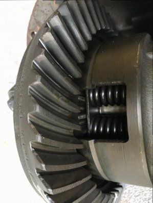 IMG_0113.JPG IMG_0113.JPG