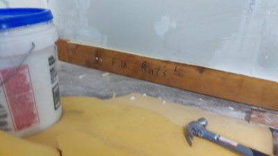 IMAG0555_BURST002.jpg