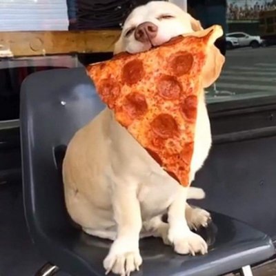 14457447_296011890765000_7203984153233833212_n.jpg 14457447_296011890765000_7203984153233833212_n.jpg