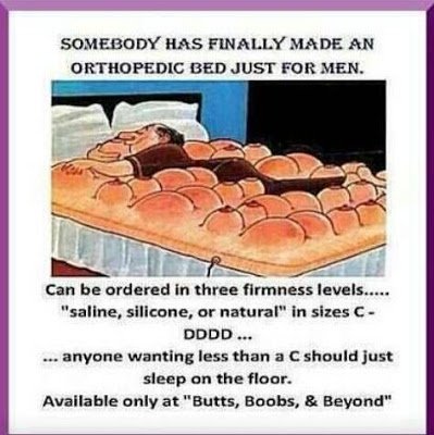 Car Babe butts boobs & beyond.jpg