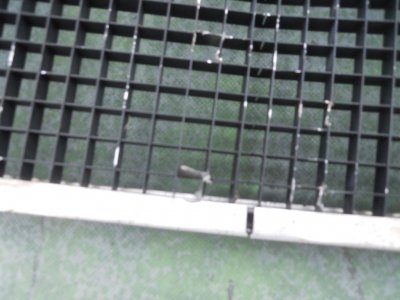 DSCN8719.JPG
