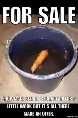 frosty.jpg